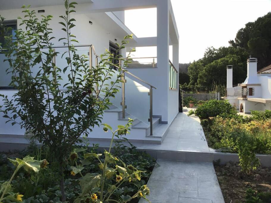 Zante Luxury Apartment Argassi Exterior foto
